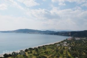 Elaionas Studios_best prices_in_Hotel_Peloponesse_Lakonia_Skoutari