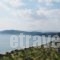 Elaionas Studios_best prices_in_Hotel_Peloponesse_Lakonia_Skoutari