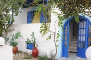 Vitzileos Studios_accommodation_in_Hotel_Cyclades Islands_Naxos_Naxos chora