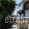 Circe Pansion_best deals_Hotel_Ionian Islands_Kefalonia_Kefalonia'st Areas