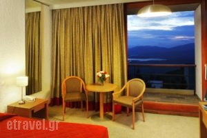 Amalia Hotel Delphi_holidays_in_Hotel_Central Greece_Fokida_Delfi