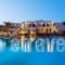 Fanari Art_accommodation_in_Hotel_Cyclades Islands_Ios_Ios Chora