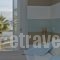 Hotel Oasis_best deals_Hotel_Cyclades Islands_Paros_Paros Chora