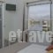 Hotel Oasis_best prices_in_Hotel_Cyclades Islands_Paros_Paros Chora