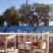 Anemelia Studios_accommodation_in_Hotel_Cyclades Islands_Syros_Posidonia