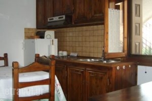 Zmas Studio_holidays_in_Hotel_Central Greece_Evia_Istiea