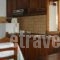 Zmas Studio_holidays_in_Hotel_Central Greece_Evia_Istiea