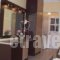 Callinica Hotel_best deals_Hotel_Ionian Islands_Zakinthos_Zakinthos Rest Areas