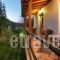 Andriotis Studios_best deals_Hotel_Aegean Islands_Lesvos_Plomari