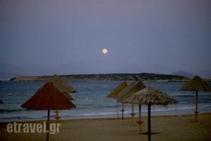 Surfing Beach Huts_holidays_in_Hotel_Cyclades Islands_Paros_Paros Chora