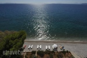 Siagas Beach Hotel_travel_packages_in_Peloponesse_Korinthia_Agioi Theodori