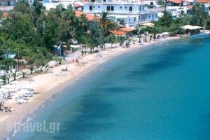 Meltemi_best prices_in_Hotel_Central Greece_Fthiotida_Glyfa