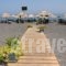 Hotel Sunshine_best deals_Hotel_Cyclades Islands_Sandorini_kamari