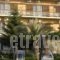 Astron Hotel_best prices_in_Hotel_Central Greece_Fthiotida_Loutra Ypatis