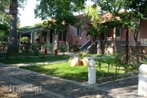 Studio Aspa_accommodation_in_Hotel_Aegean Islands_Lesvos_Skala Eressou