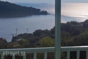 Regina Studios_holidays_in_Hotel_Sporades Islands_Skopelos_Panormos