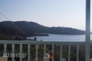 Regina Studios_accommodation_in_Hotel_Sporades Islands_Skopelos_Panormos