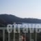 Regina Studios_accommodation_in_Hotel_Sporades Islands_Skopelos_Panormos