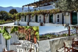 Vassiliki Studios_holidays_in_Hotel_Cyclades Islands_Andros_Andros City