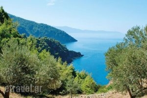 Bay Of George_lowest prices_in_Hotel_Central Greece_Evia_Pefki