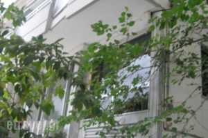 Rex Chasioti_accommodation_in_Hotel_Central Greece_Fthiotida_Ypati