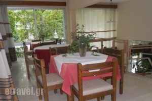 Rex Chasioti_best prices_in_Hotel_Central Greece_Fthiotida_Ypati