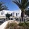 Captain John's Bungalows_holidays_in_Hotel_Cyclades Islands_Paros_Naousa