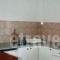 Anthi Studios_best deals_Hotel_Ionian Islands_Zakinthos_Zakinthos Rest Areas