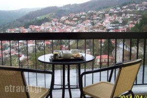 Valia Calda Hotel_accommodation_in_Hotel_Macedonia_Grevena_Perivoli