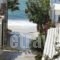 Theofanis Studios_accommodation_in_Hotel_Cyclades Islands_Naxos_Agia Anna