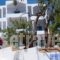 Christine Studios_holidays_in_Hotel_Piraeus Islands - Trizonia_Poros_Poros Chora