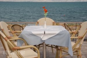 Sunset Hotel_best prices_in_Hotel_Peloponesse_Arcadia_Astros