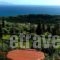 Aristea Studios_best deals_Hotel_Ionian Islands_Kefalonia_Kefalonia'st Areas