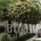 Hotel Asteria_best deals_Hotel_Aegean Islands_Ikaria_Agios Kirykos