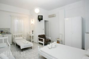 Prasino Oniro_lowest prices_in_Hotel_Cyclades Islands_Tinos_Tinosora