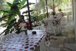 Studios Anna_travel_packages_in_Ionian Islands_Zakinthos_Laganas