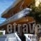 Liberty II_accommodation_in_Hotel_PiraeusIslands - Trizonia_Aigina_Aigina Chora