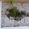 Liberty II_best deals_Hotel_PiraeusIslands - Trizonia_Aigina_Aigina Chora