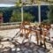 Fiskardo Olive Cottage_holidays_in_Hotel_Ionian Islands_Kefalonia_Fiskardo