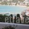 Amorani Studios_best deals_Hotel_Cyclades Islands_Andros_Batsi