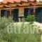 Elia Village_holidays_in_Hotel_Ionian Islands_Lefkada_Lefkada's t Areas