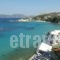 Studios Loukia_best prices_in_Hotel_Aegean Islands_Samos_Samos Rest Areas