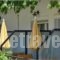 Hotel Theo_best deals_Hotel_Aegean Islands_Thassos_Thassos Chora