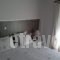 Hotel Sweet Home_best deals_Hotel_Macedonia_Halkidiki_Neos Marmaras