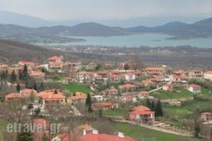 Thea Guesthouse_best deals_Hotel_Thessaly_Karditsa_Neochori