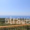 Heliovasilema_lowest prices_in_Hotel_Ionian Islands_Kefalonia_Kefalonia'st Areas