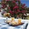 Hotel Agterra_best deals_Hotel_Cyclades Islands_Naxos_Naxos chora