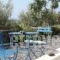 Thera Terra_lowest prices_in_Hotel_Cyclades Islands_Sandorini_Emborio