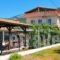 Sikoudis Gorgona Beach_accommodation_in_Hotel_Aegean Islands_Thasos_Thasos Chora