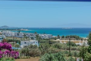 Studios Tasia_travel_packages_in_Cyclades Islands_Naxos_Naxos chora